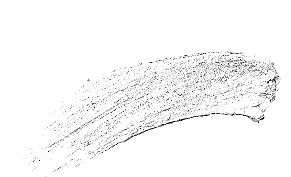 web22.png