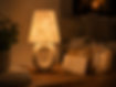 5FE86CA5-8778-4E52-861E-86347C7D0989 2.PNG