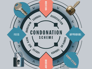 "From Delay to Grace: Understanding the 2018 Condonation Scheme"