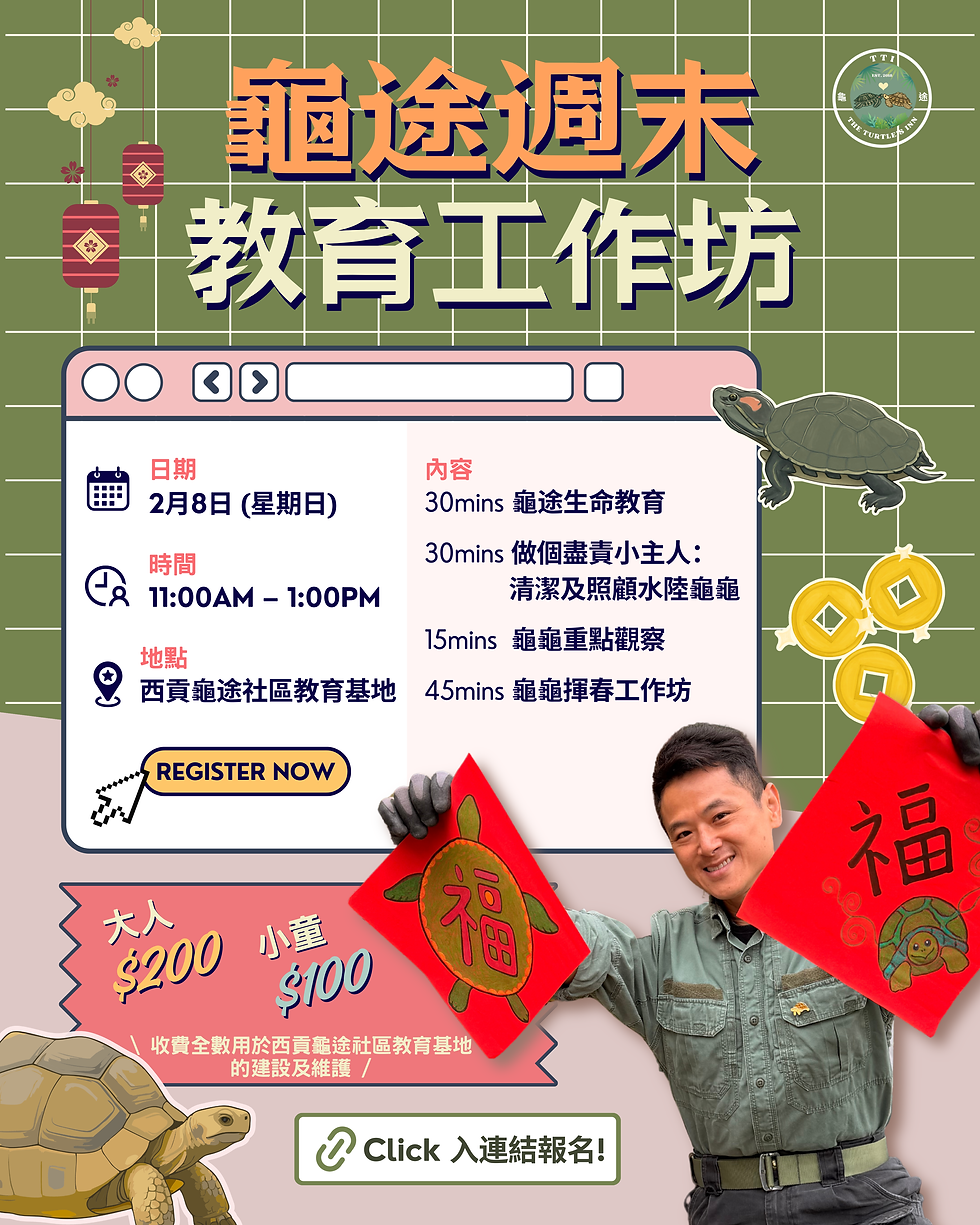 龜途週末教育工作坊 （2月份）