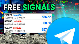 4 best free forex signals channels on telegram in 2026