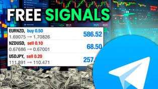 4 best free forex signals channels on telegram in 2026