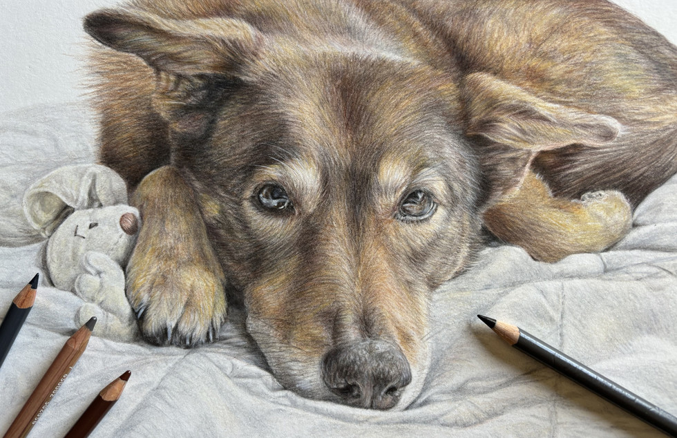 "Carmen" 9x12 Colored Pencil Portrait