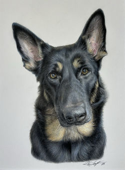 "Max" 9"x12"