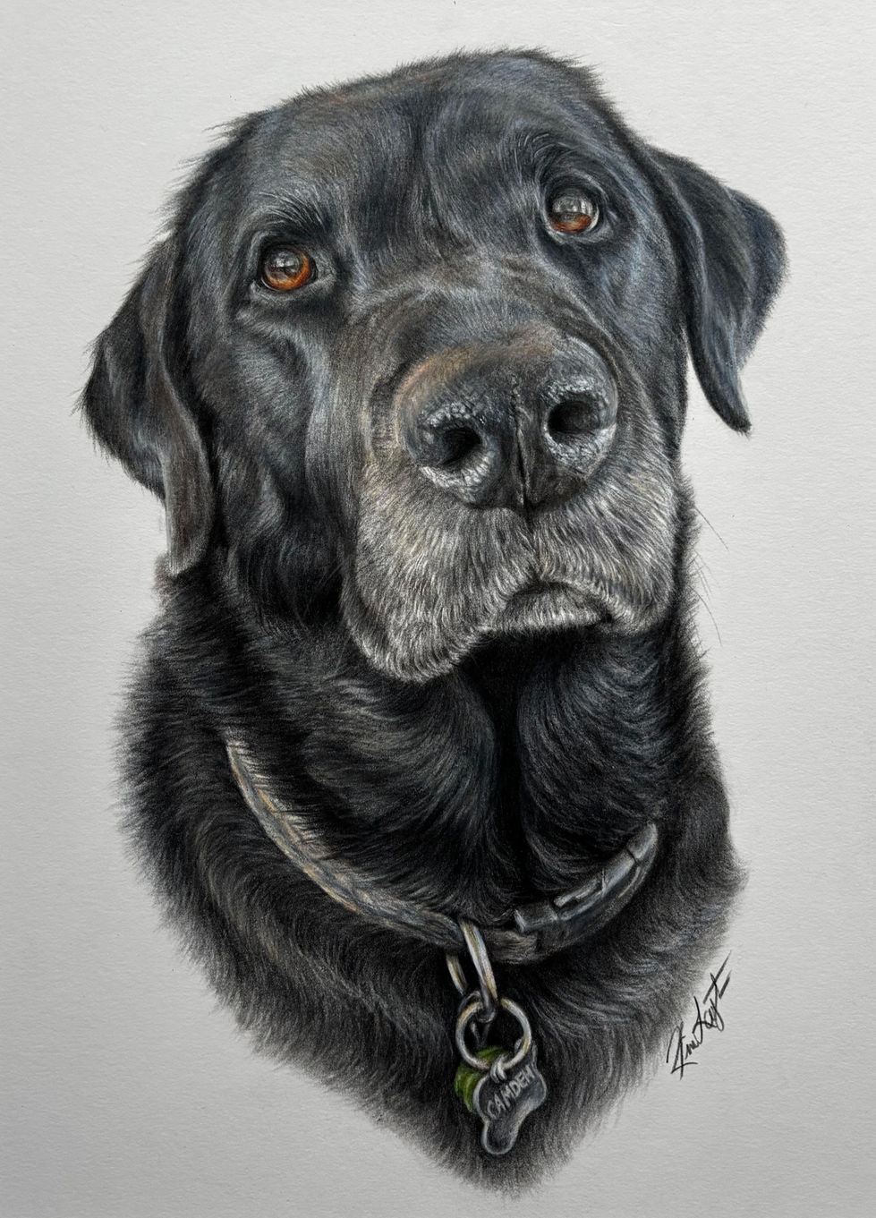 "Camden" 9x12 Colored Pencil Portrait