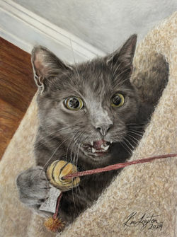"Jinxy" 8"x10"