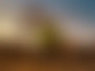 Career Longevity in FIFO: Strategies for the Long Haul