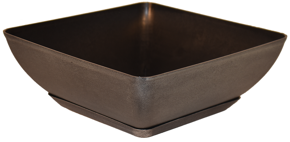 12" Jane with Saucer 1.5-Gal