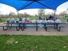 5th Annual Easter Bone Hunt 2019
