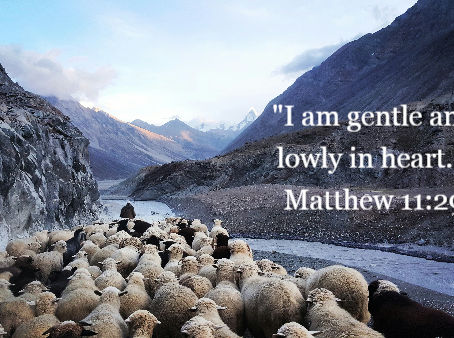 Biblical Gentleness: Strength Under God’s Control