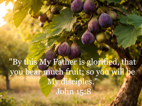 What the Fig Tree Teaches About True Faith
