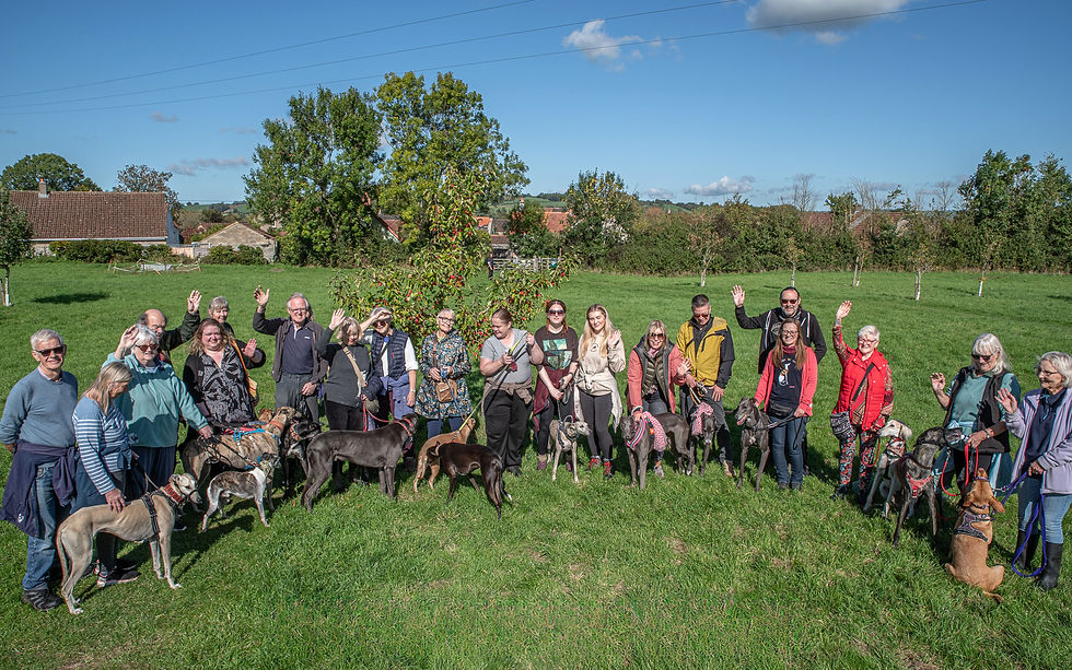 Great Global Greyhound Walk 2026