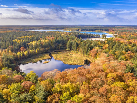 Hartstocht Festival in Elp? Ja, dat is een eindje weg!