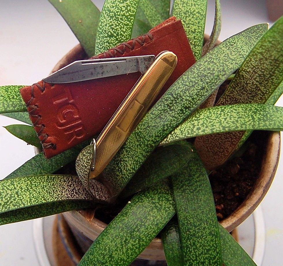 Thumbnail: Style 1 - Side Folding Knife Slip