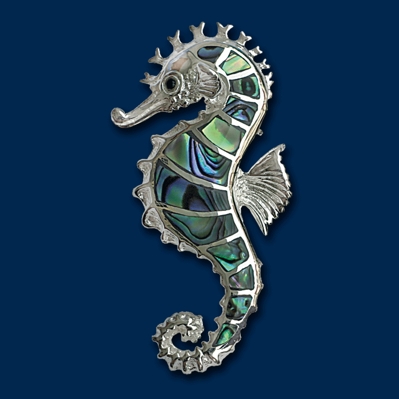 Seepferdchen groß mit Abalone