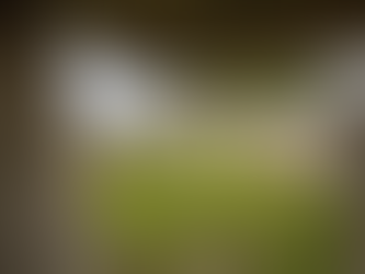 The Enigmatic Story of Creevykeel Megalithic Site