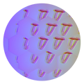 96930262-61D5-4FD7-8629-988A083A859A_edited.png