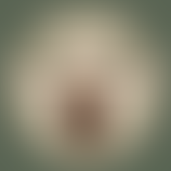 מזל שור - הכוח השקט