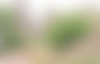 France - Saint-Jacques-de-Compostelle 