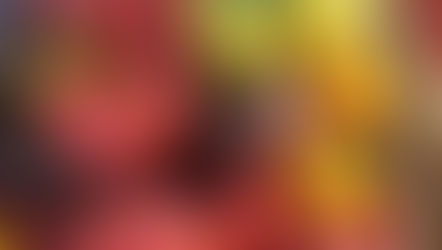 Les Comptonales à la cantonade