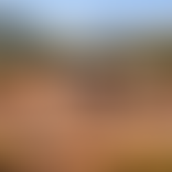 How to Legalize Buildings on Rural Land in the Balearic Islands?