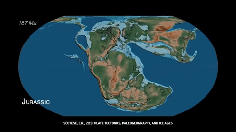 9E26318B-5BDB-4B88-B66B-8CF4F9CCC77F.gif