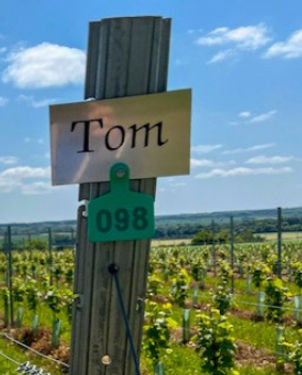 The Rutland Vineyard row post
