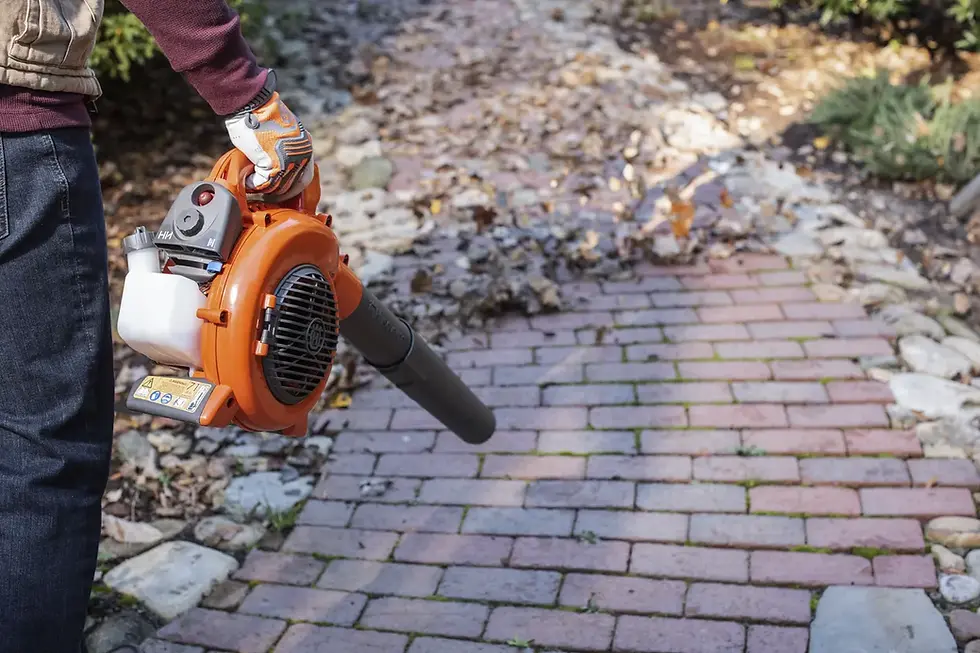 Thumbnail: HUSQVARNA 125B BLOWER