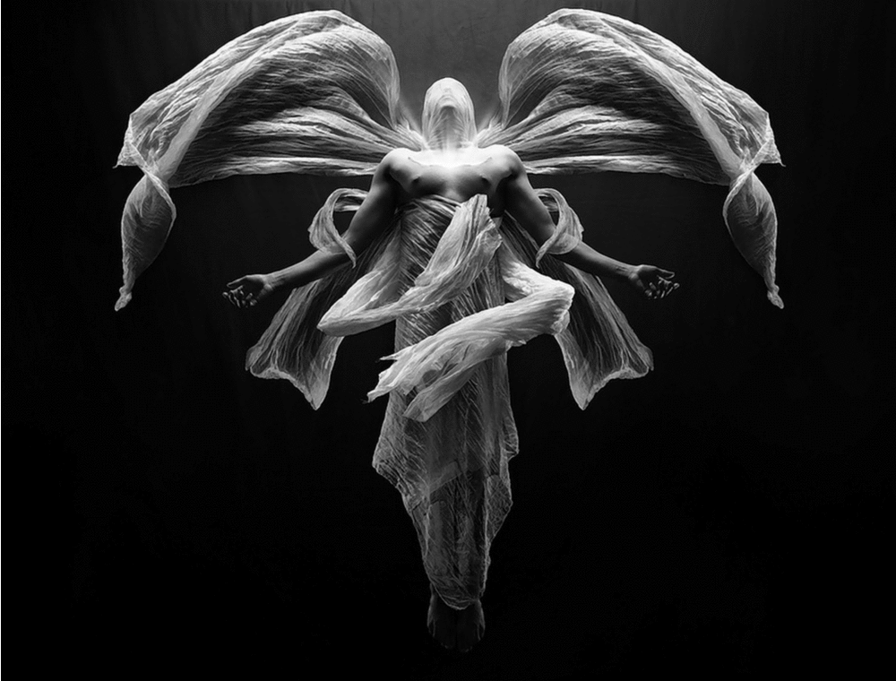 christian-hopkins_angel_morph_rev.gif