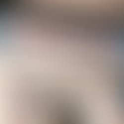 振興珍餅行|屋瓦底下的餅香與人情