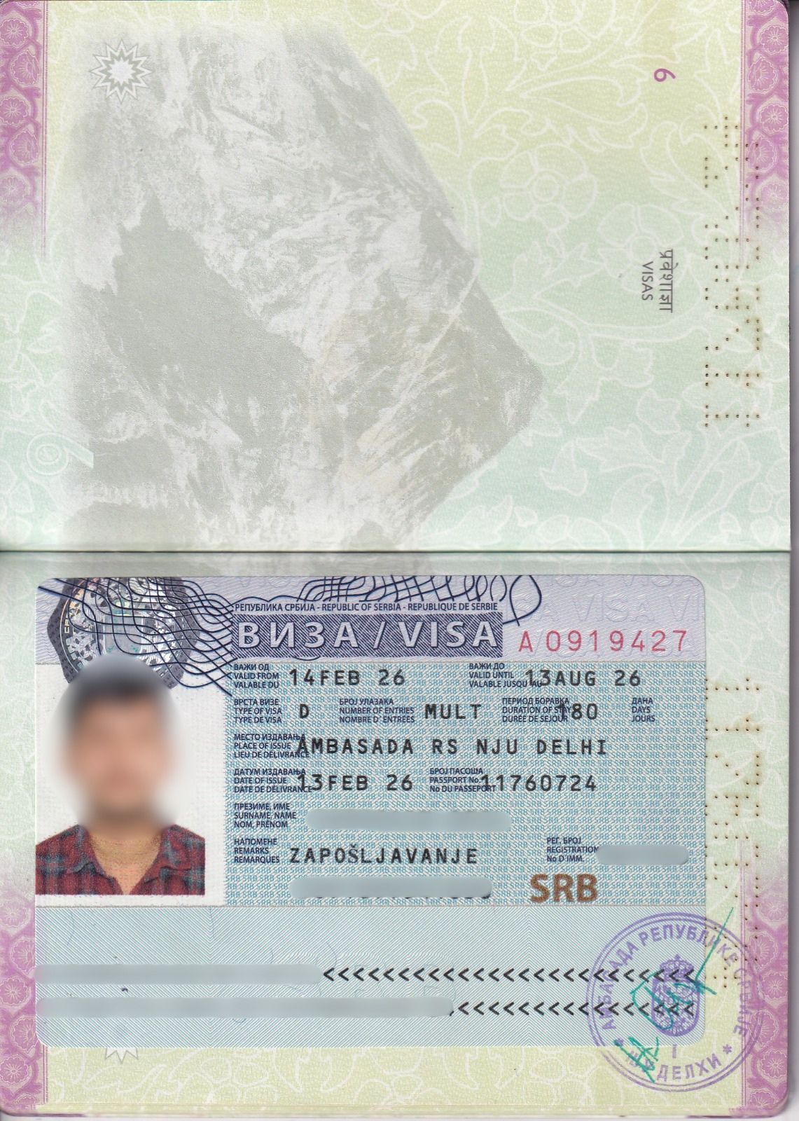 Viza D za strane radnike u Srbiji