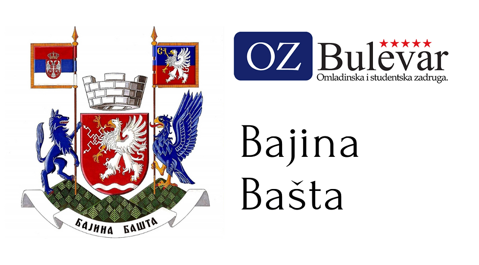 Babušnica, omladinska zadruga bajna basta, Omladinska Zadruga Bajna Bašta