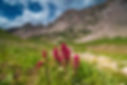 8.4-6.23-gore-lake-packpacking-lowrez-ian zinner-401.jpg
