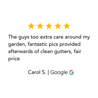 Google review from Carol S.: "The guys too extra care around my garden, fantastic pics provided afterwards of clean gutters, fair price"