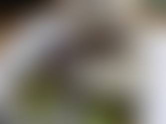 8 Product Photography Tips (and Examples) for Taking Pictures That Sell for business owner DIY’ers