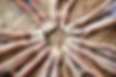 Ballerinas Sitting in a Circle