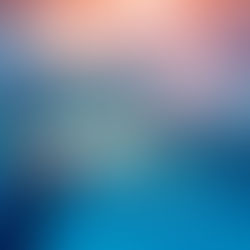 What is an En-Bloc Capsulectomy? 