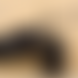 PSG Grant for Walkie Talkie Singapore: How SMEs Can Get Communication Tools Subsidised