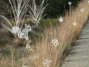 Doodling on a hike path