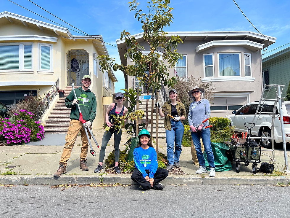 Bloomberg | Richmond Community Tree Care
