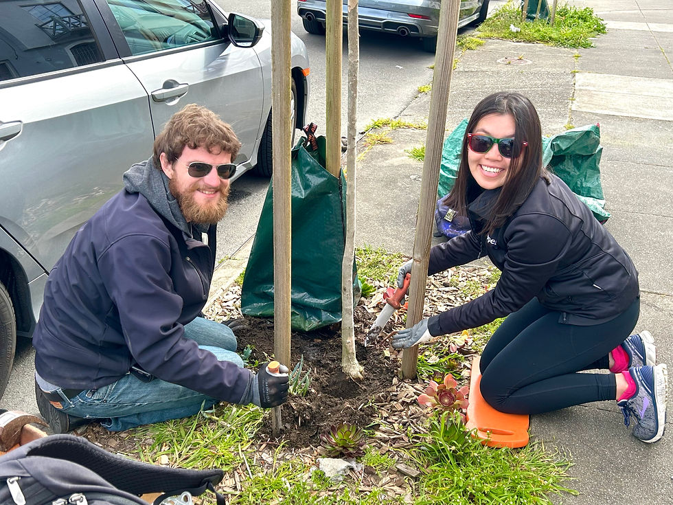 Bayview | Community Tree Care