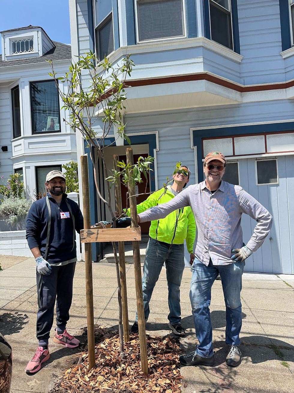 AECOM  | Outer Mission Community Tree Planting 