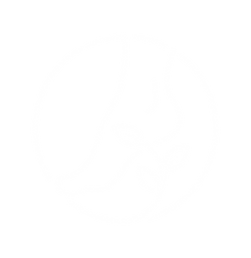 FFC_4x.png