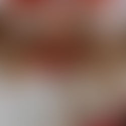 PEF Bird Merch Holiday Edition