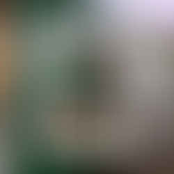 Designing for Ayala Land Davao Carbon Forest