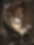 52a4e2d0-e919-406f-8e70-8e12c85d6aea (2).png