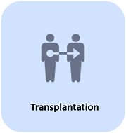 Transplantation.png