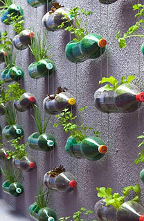 Horta vertical com garrafa Pet.jpg