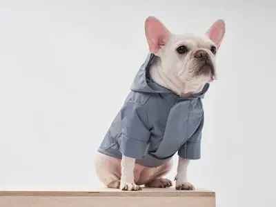 Thumbnail: Tribeca Adjustable Velcro Raincoat - Blue