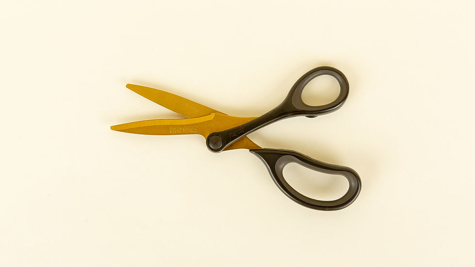 Thumbnail: Raymay Swingcut Scissors